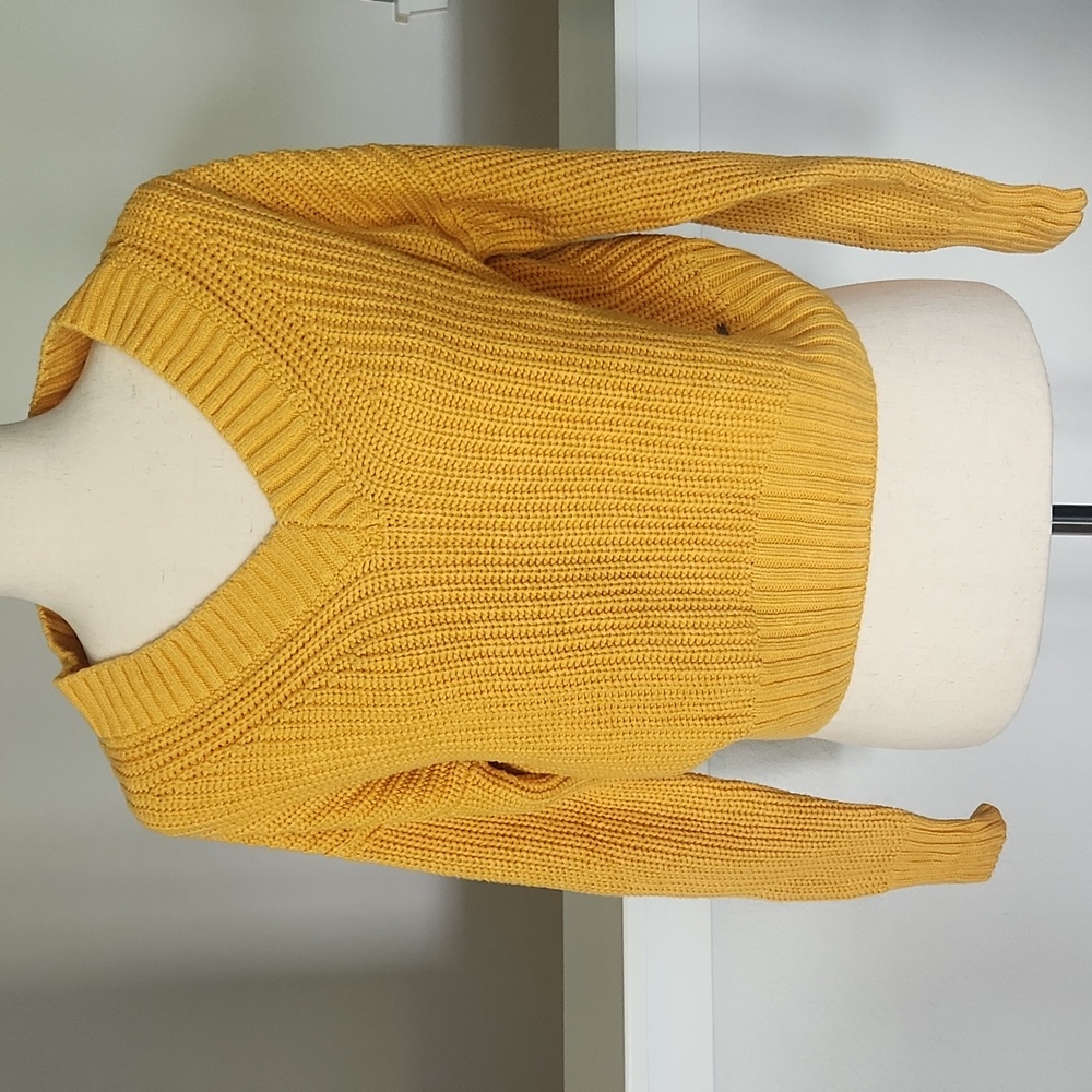 Hollister v beck crop sweater